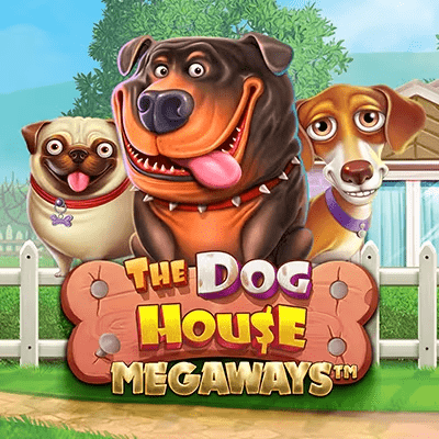 dog house
          